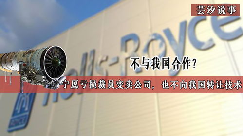 技術(shù)壁壘背后的博弈 當(dāng)合作遇冷，企業(yè)走向何方？